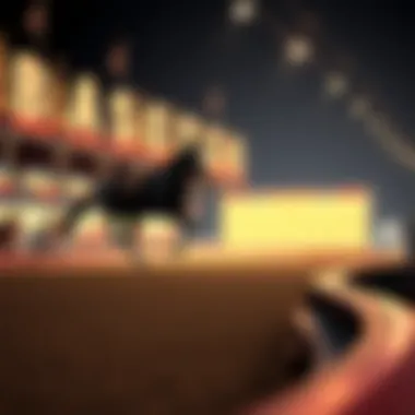 A visual representation of various betting strategies for horse racing