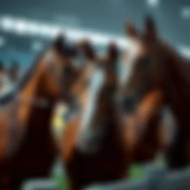 A collection of popular horse breeds featured in online racing