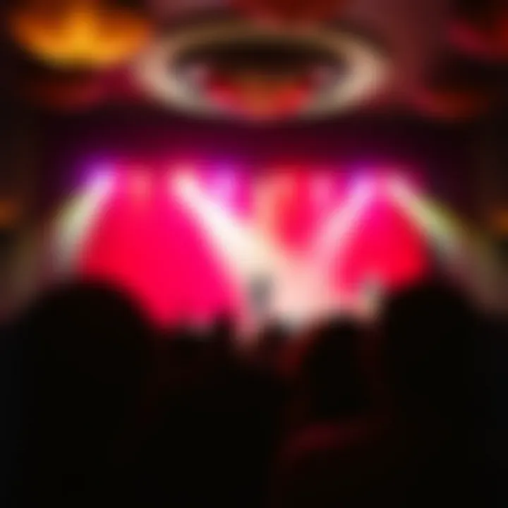 Live entertainment stage with performers captivating an audience